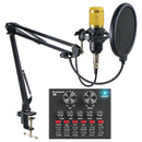 V8 Live Sound Card Set Anchor Recording Microphone,Style: With Gold BM800 Set