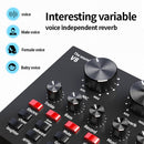 V8 Live Sound Card Set Anchor Recording Microphone,Style: With Gold BM800 Set