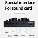 V8 Live Sound Card Set Anchor Recording Microphone,Style: With Gold BM800 Set
