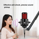 HM-180 Large-diaphragm Condenser Microphone Recording Live K Song Microphone