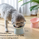 2 PCS Pet Tall Protection Cervical Slant Mouth Food Bowl Anti-overturning Plastic Cat Bowl(Blue)