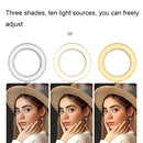 A1 Phone Live Bracket with LED Ring Fill Light, Spec: Dual-camera