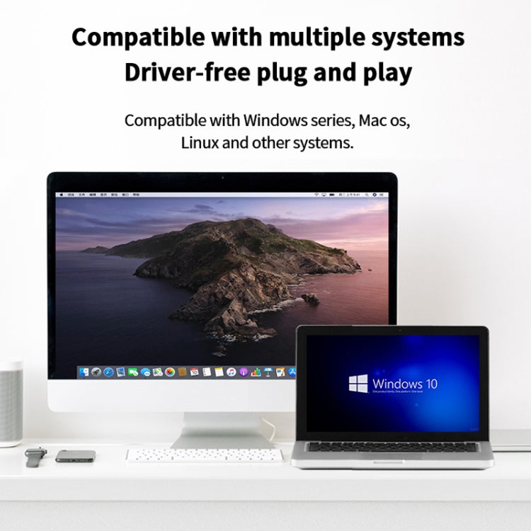 Lexar LRW350U-BNNNC TF Card Reader 2 In 1 T-Ype-C / USB-C Dual Interface For Huawei NM Card(White)