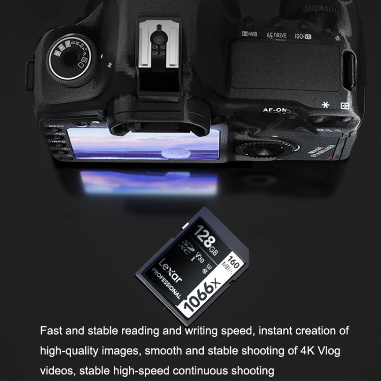 Lexar 1066X SLR Mirrorless Camera High Speed SD Card, Capacity: 64GB