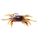 3 PCS HENGJIA SO068 Submerged Crab Hook Anti-hanging Bottom Ice Fishing Bait, Color: 10cm 30g Gray
