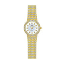 BS Bee Sister FA1101 Women Chain Watch Starry Diamonds Wrist watch(Golden Scale Surface)