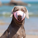 Cartoon Dog Mouth Cover Anti-Bite Nylon Dog Mask, Size: L(Blue)
