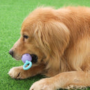Candy Color Pet Toothpaste Chewing Toy TPR Molar Stick(NO.1 Color)