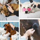 2PCS LAN-888 Beauty Massage Multifunctional Pet Brush Horse Brush