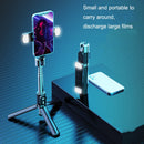 Retractable Bluetooth Selfie Stick Mobile Phone Live Broadcast Tripod Stand, Style: Double Light (Black)