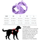 Pet PVC Strap Macaron Color Dog Chest Strap, Size: S(Blue)