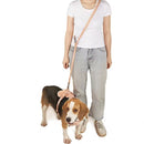 Pet PVC Leash Macaron Color Soft Dog Leash, Size: L(Pink)