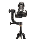 QingZhuangShiDai Q35 SLR Camera Telephoto Lens Bird Watching Tripod Head(Gold)