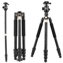 QingZhuangShiDai Q999B Portable and Stable Photography SLR Digital Camera Tripod(Gold)