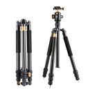 QingZhuangShiDai Q999B Portable and Stable Photography SLR Digital Camera Tripod(Black)