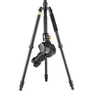 QingZhuangShiDai Q999B Portable and Stable Photography SLR Digital Camera Tripod(Gold)