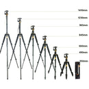 QingZhuangShiDai Q570 Multifunctional Digital SLR Camera Portable Tripod(Black)