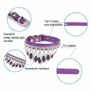 Gem Rhinestone Pet Collar Puppy Cat Pet Collar XS(Blue)