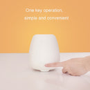 White Noise Simulation Flame Aromatherapy Machine Ultrasonic Humidifier(UK Plug)