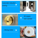 ID Access Control One Piece Induction Motor Lock Single Head