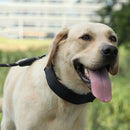 Cloth Tape Paste Detachable Training Stimulation Dog Collar, Size: M 3.0mm x 50cm(Ordinary)