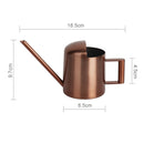 300ML Stainless Steel Watering Can with Long Spout(Black)