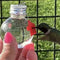 Hanging Bird Feeder Outdoor Hummingbird Feeder Bulb