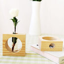 Modern Style Glass Tabletop Plant Bonsai Glass Test Tube Flower Decorative Vase