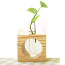 Modern Style Glass Tabletop Plant Bonsai Glass Test Tube Flower Decorative Vase