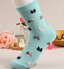 10 Pairs Animal Cartoon Cat Lovely for Women Cotton Socks(4)