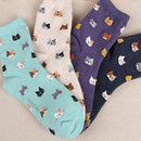 10 Pairs Animal Cartoon Cat Lovely for Women Cotton Socks(2)