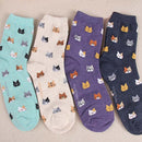 10 Pairs Animal Cartoon Cat Lovely for Women Cotton Socks(8)