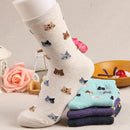 10 Pairs Animal Cartoon Cat Lovely for Women Cotton Socks(8)