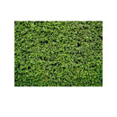 2.1m x 1.5m Green Leaves Wall Birthday party photography background cloth