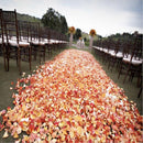 1000 PCS Artificial Wedding Rose Petals Flowers Wedding Decorations(Orange)