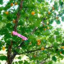 100 PCS Gardening Plant Sapling Seed Hanging Tree Label(Pink)
