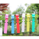 100 PCS Gardening Plant Sapling Seed Hanging Tree Label(Pink)
