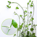 10 PCS Lulu Climbing Wall Fixer Vine Climbing Wall Sticking Hook, Size:Small(White)