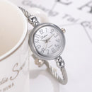 Lvpai Ladies Retro Round Large Dial Alloy Twisted Thin Chain Watch(P433Silver)