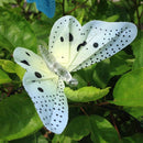 Solar Powered Butterfly Fiber Optic Fairy String Waterproof Christmas Outdoor Garden Holiday Lights, Size:4m 12LEDs