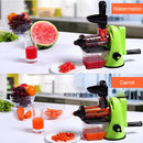 Multifunction Home Manual Juicer Apple Orange Wheatgrass Portable DIY Juicer(White)