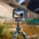 BEXIN Tripod Head Quick Release Plate Holder For Manfrotto 200PL-14(Black)
