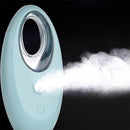30ML Alcohol Disinfection Sprayer Portable Nano Spray Steaming Face Water Moisture Meter(Pink)
