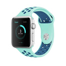 For Apple Watch Series 7 41mm / 6 & SE & 5 & 4 40mm / 3 & 2 & 1 38mm Fashionable Classical Silicone Sport Watch Band(Green Blue)