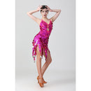 Sling Sequin Deep V Latin Dance Dress Competition Performance Costume (Color:Silver Grey Size:Free Size)