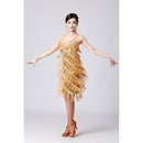 V-neck Suspender Sequined Fringed Latin Dance Dress Competition Performance Suit (Color:Gold Size:S)