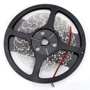 YWXLight 5M LED Strip Lights,2835SMD Non-Waterproof LED Strip DC 12V 300LED LED Light Strips (Green)