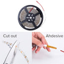 YWXLLight US Plug Waterproof Led Strip Lights SMD 2835 5M 300leds 60leds/m White Flexible Lighting Tape Lights (Cold white)