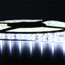 YWXLLight US Plug Waterproof Led Strip Lights SMD 2835 5M 300leds 60leds/m White Flexible Lighting Tape Lights (Cold white)