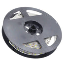 YWXLight 5M 3528SMD 1200LEDs Double Row Bare Board LED Flexible Light Strip, DC 12V (Cold white)